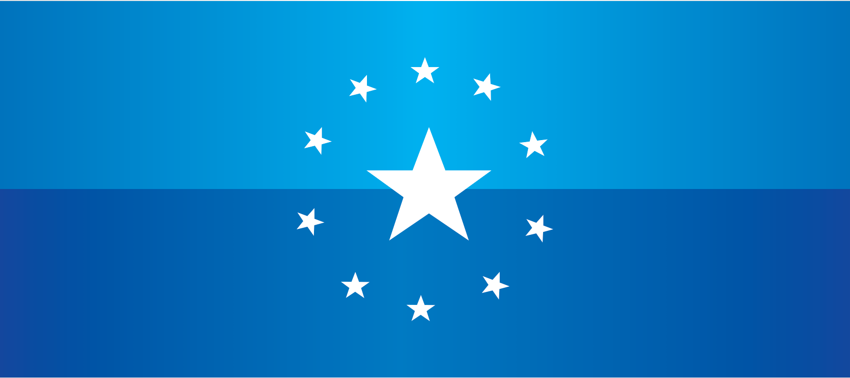 Bandera institucional UEAPG