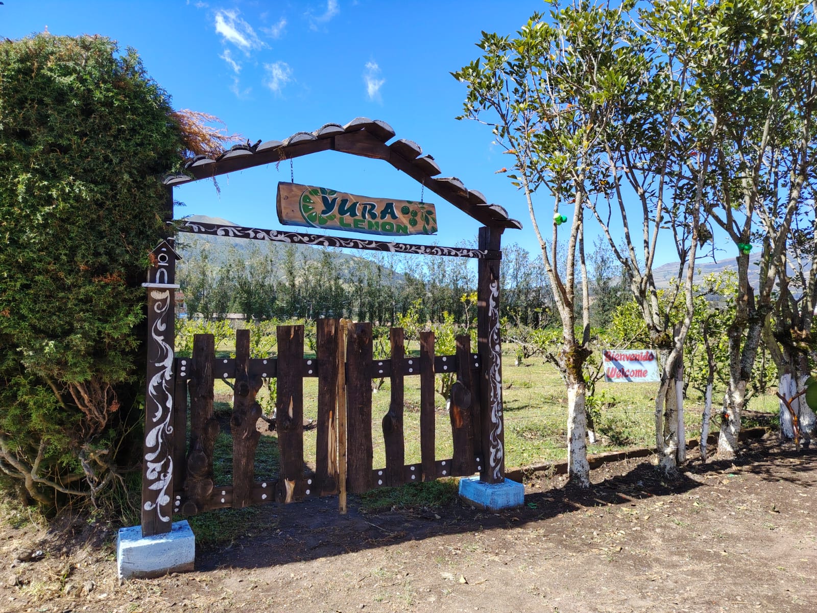 Entrada a Yura Limón en la Sede 5